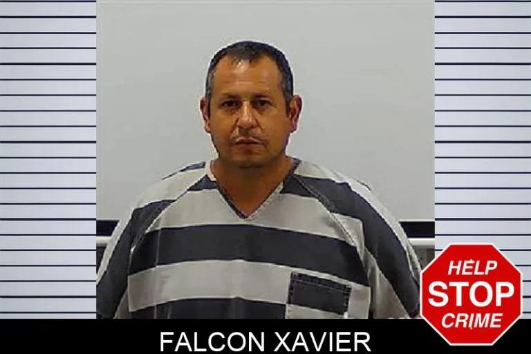Falcon Xavier