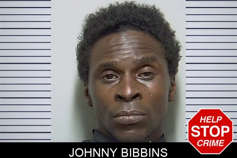 Johnny Bibbins