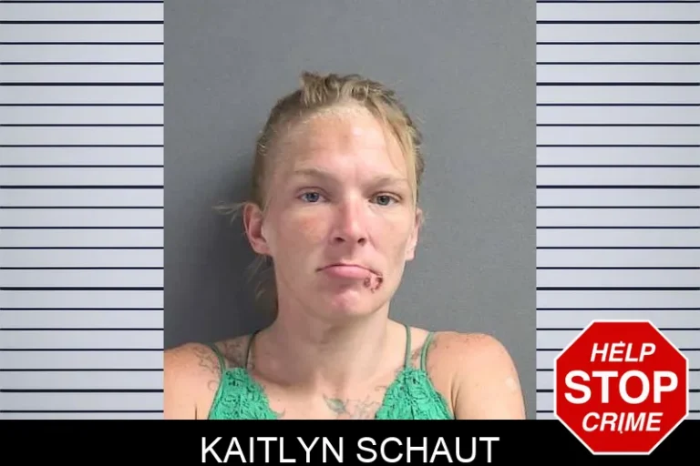 Kaitlyn Schaut