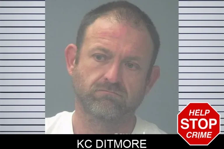 Kc Ditmore