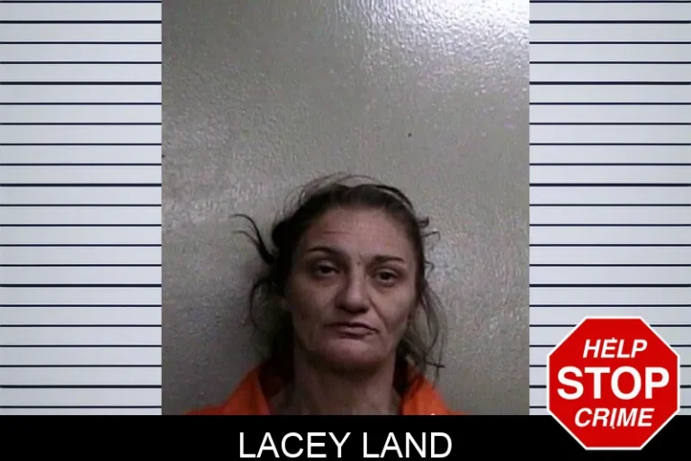Lacey Land