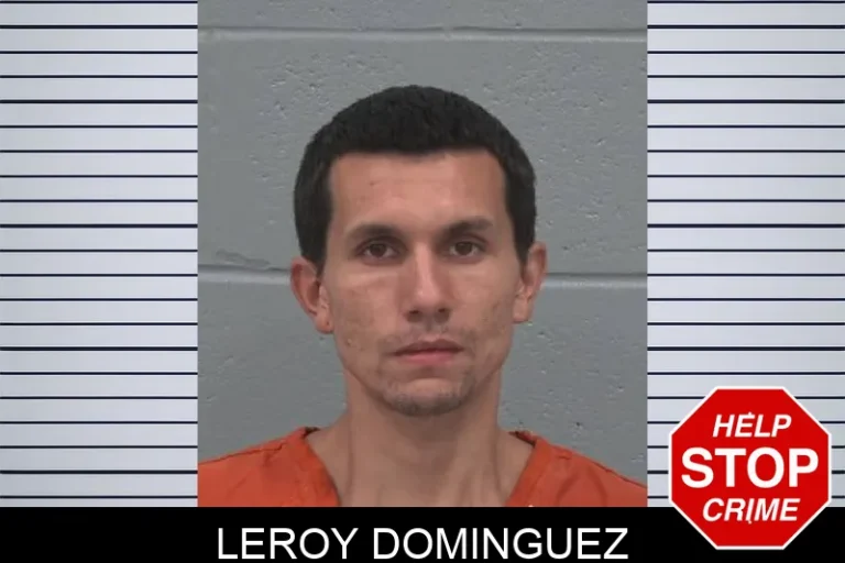 Leroy Dominguez