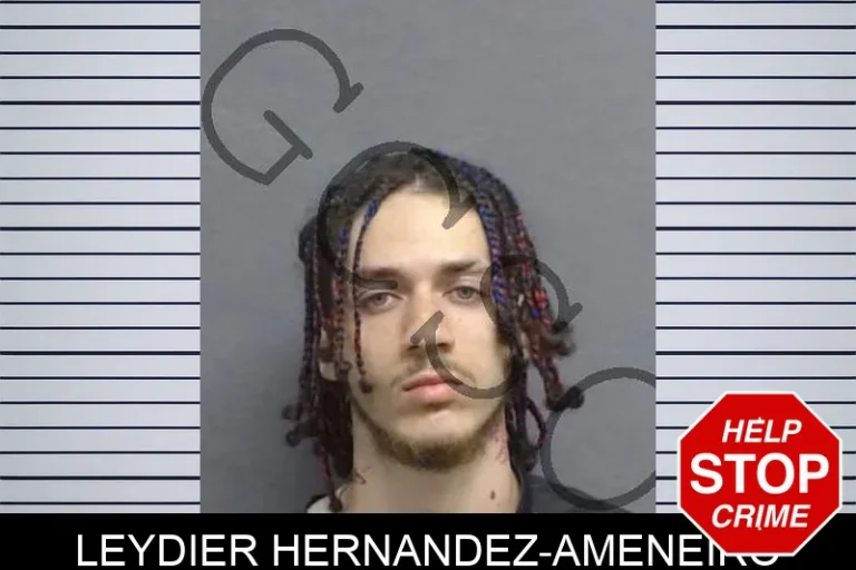 Leydier Hernandez-Ameneiro