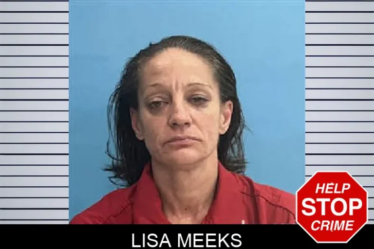 Lisa Meeks