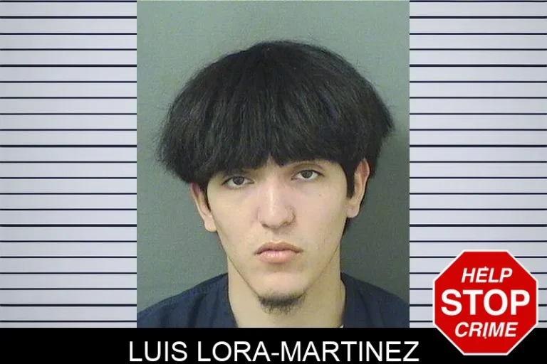 Luis Lora-Martinez