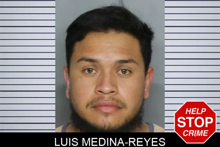 Luis Medina-Reyes