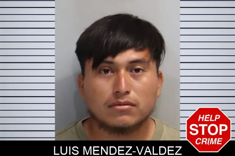Luis Mendez-Valdez