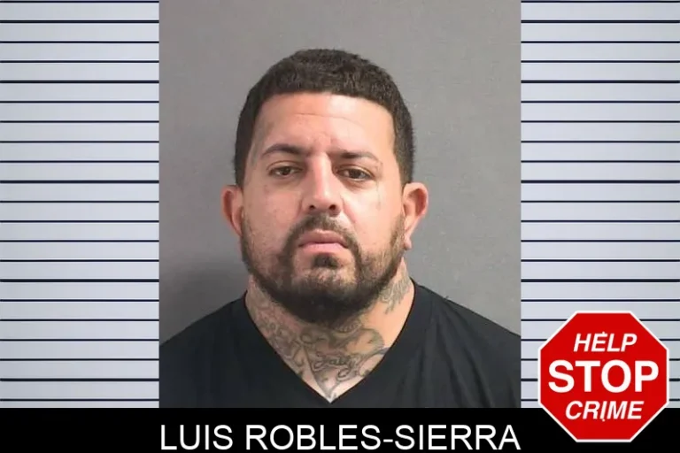 Luis Robles-Sierra