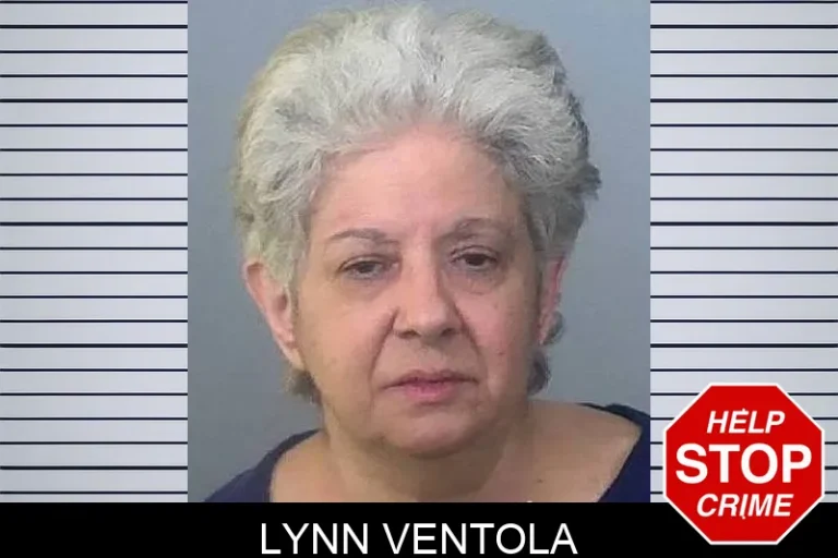 Lynn Ventola