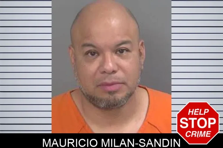 Mauricio Milan-Sandin