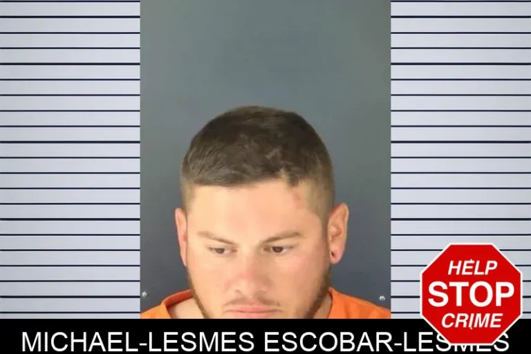 Michael-Lesmes Escobar-Lesmes