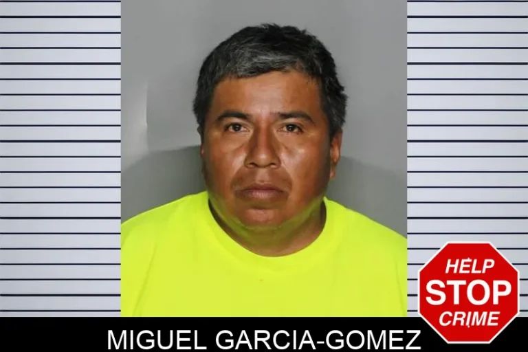 Miguel Garcia-Gomez