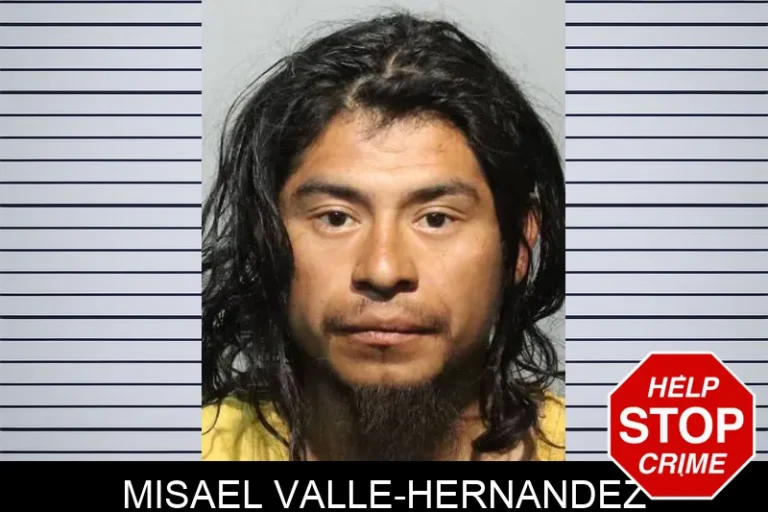 Misael Valle-Hernandez