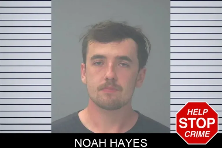 Noah Hayes