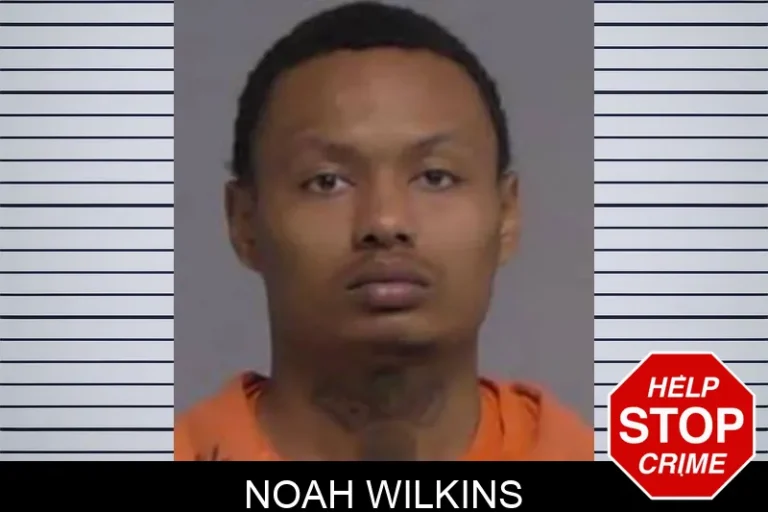 Noah Wilkins