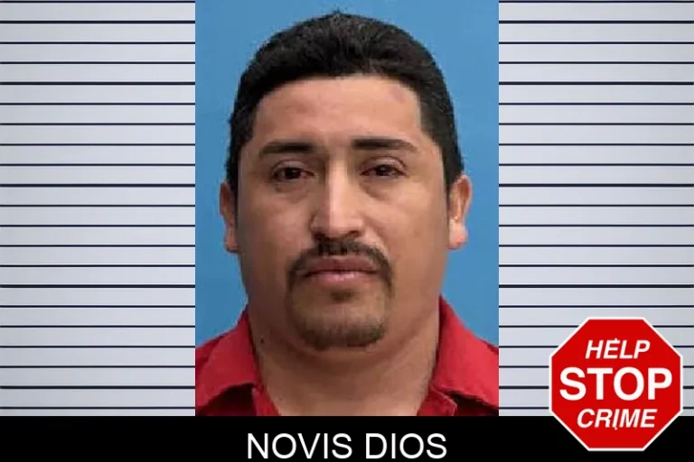 Novis Dios