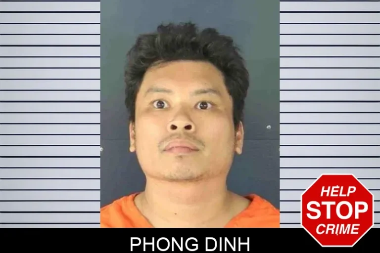 Phong Dinh