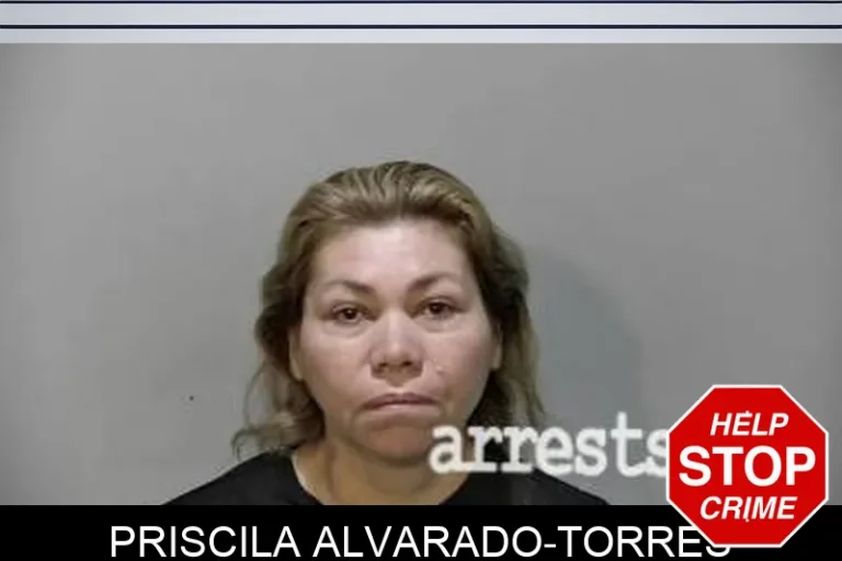 Priscila Alvarado-Torres