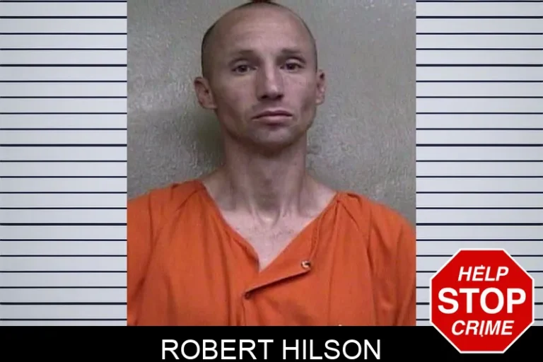 Robert Hilson
