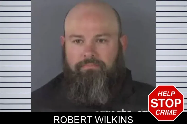 Robert Wilkins