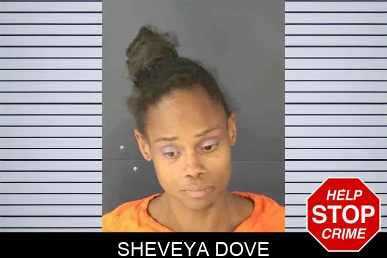Sheveya Dove