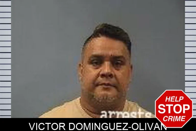 Victor Dominguez-Olivan