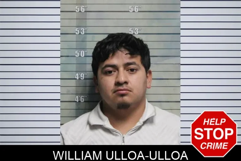 William Ulloa-Ulloa