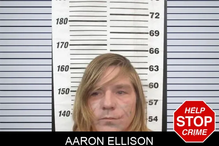 Aaron Ellison