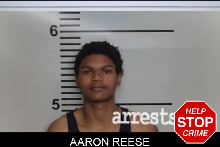Aaron Reese