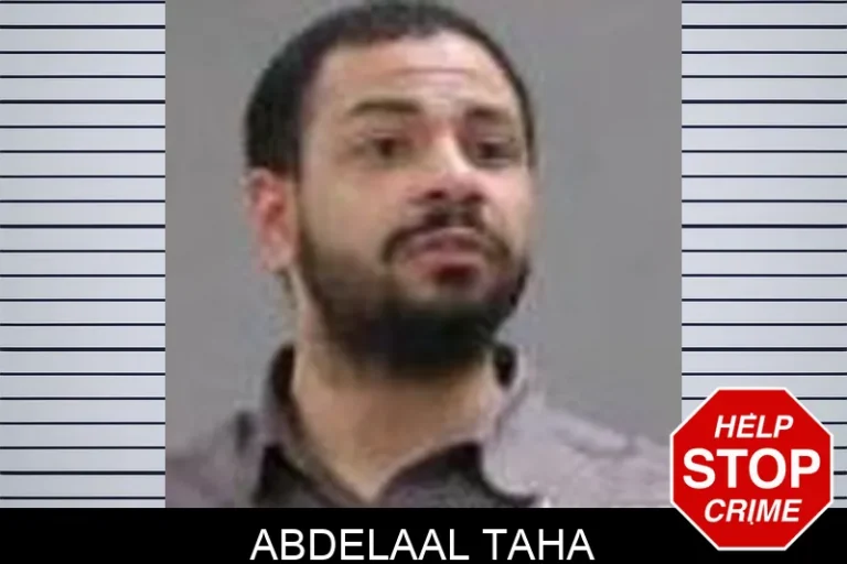 Abdelaal Taha