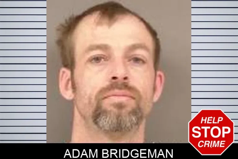 Adam Bridgeman