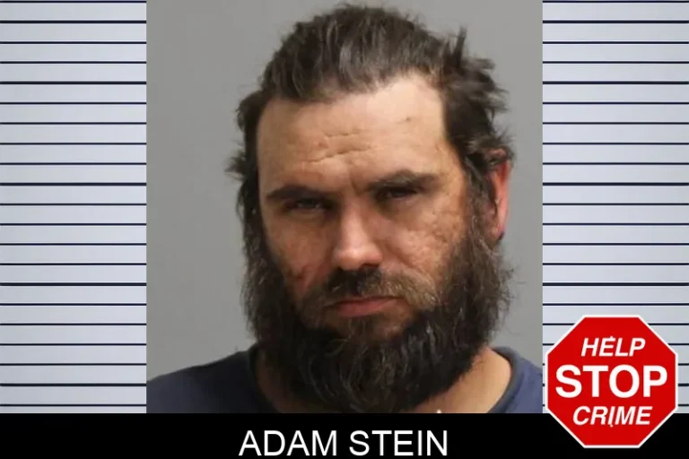 Adam Stein