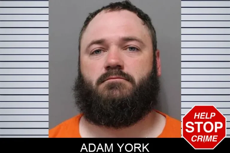 Adam York