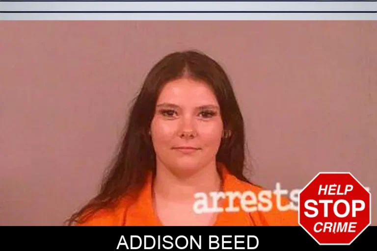 Addison Beed