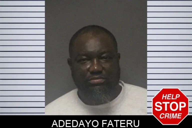 Adedayo Fateru