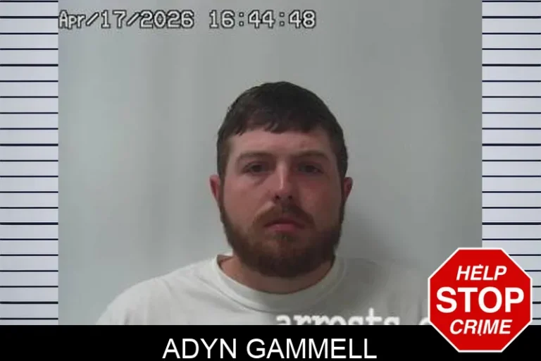Adyn Gammell