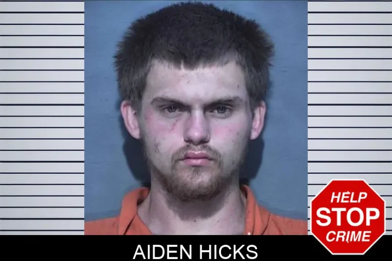 Aiden Hicks