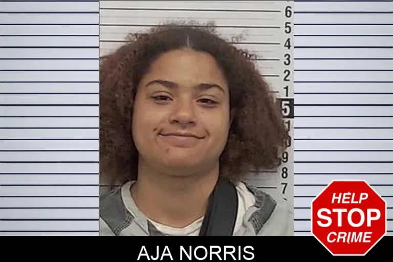 Aja Norris