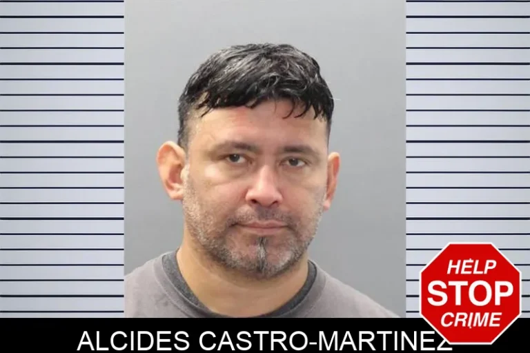 Alcides Castro-Martinez