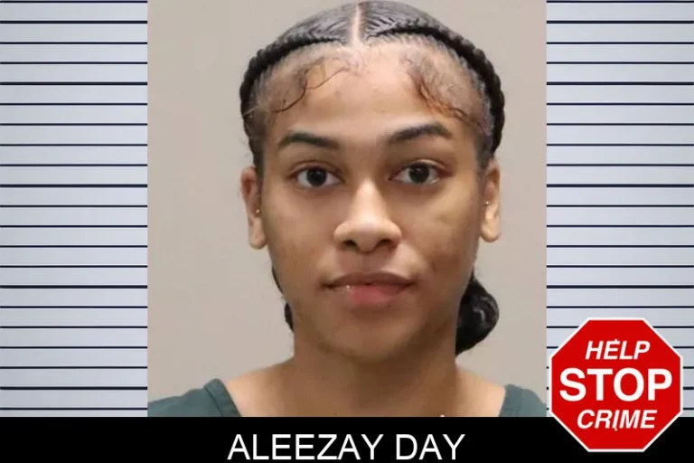 Aleezay Day