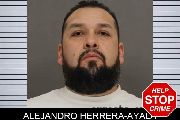 Alejandro Herrera-Ayala