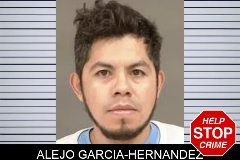 Alejo Garcia-Hernandez