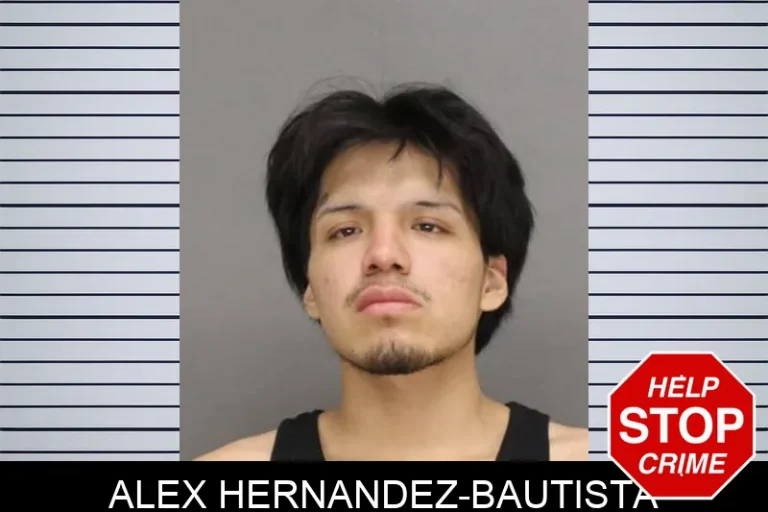 Alex Hernandez-BauTista