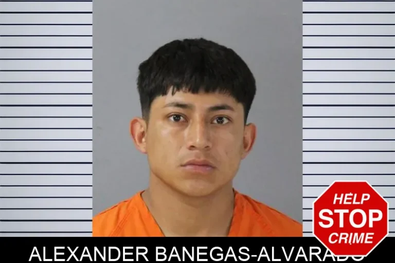 Alexander Banegas-Alvarado