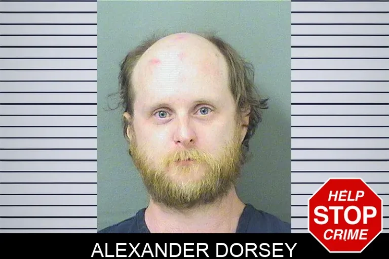 Alexander Dorsey