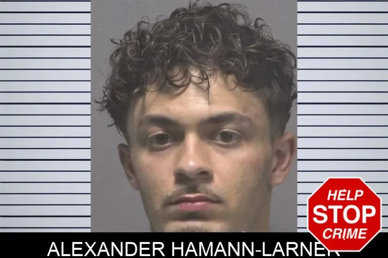 Alexander Hamann-Larner