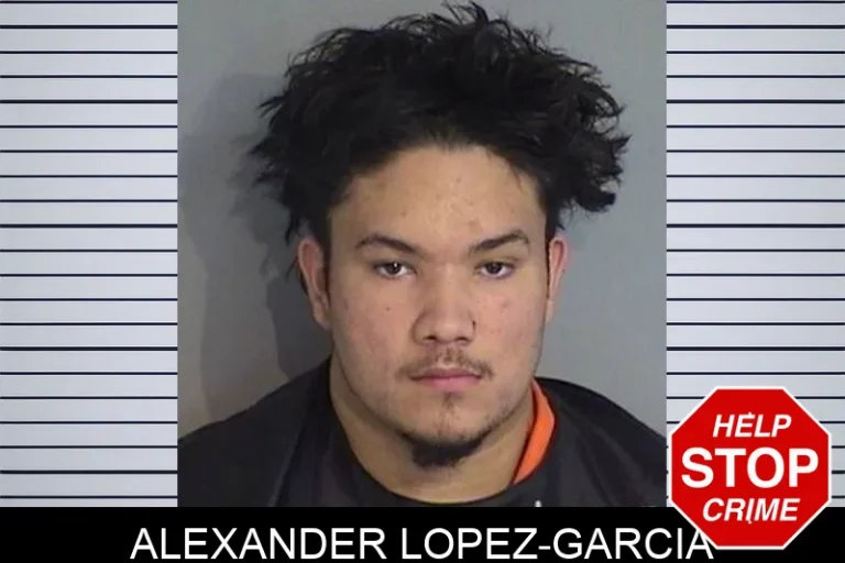 Alexander Lopez-Garcia