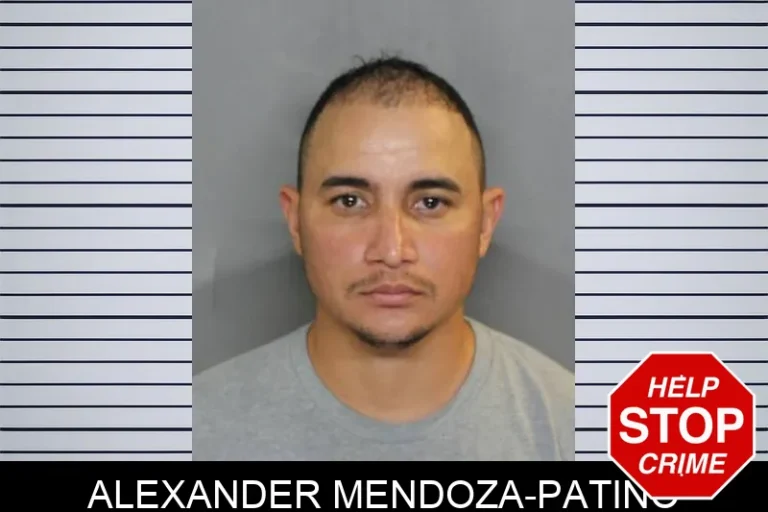 Alexander Mendoza-Patino