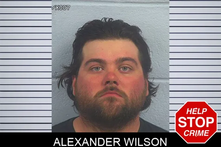 Alexander Wilson