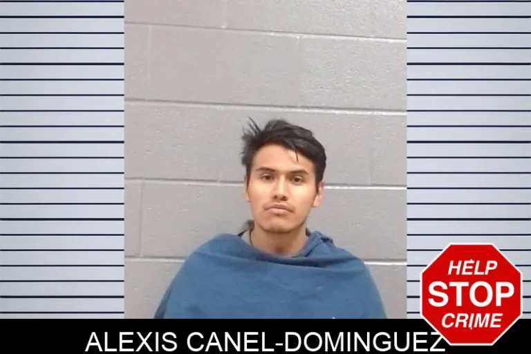 Alexis Canel-DominguEz